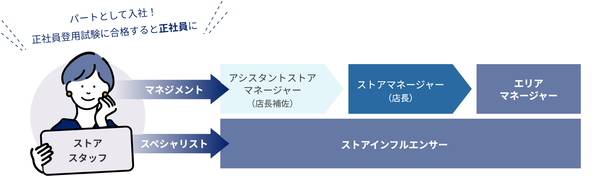 パートとして入社！正社員登用試験に合格すると正社員に。マネジメント：ストアスタッフ→アシスタントストアマネージャー（店長補佐）→ストアマネージャー（店長）→エリアマネージャー、スペシャリスト：ストアスタッフ→ストアインフルエンサー